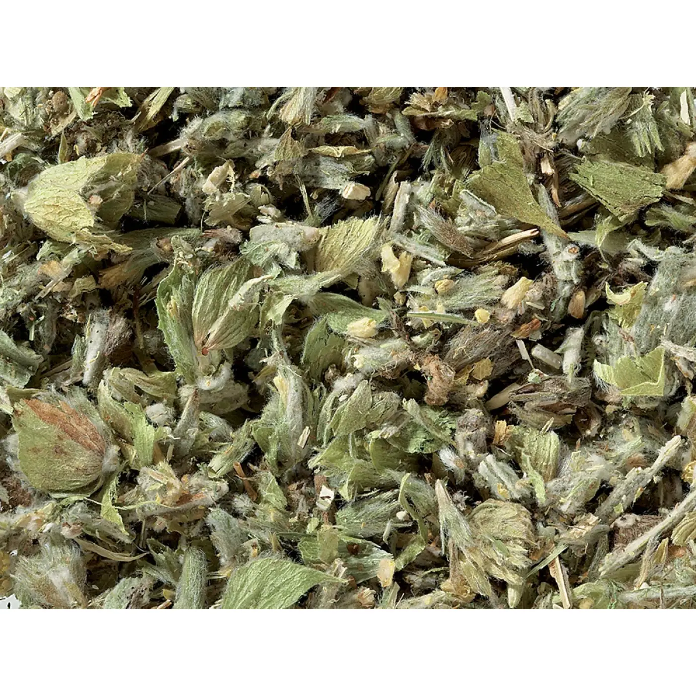 Griechischer Bergkräutertee, geschnitten